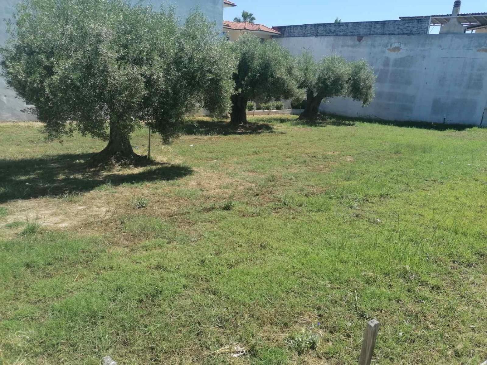 Eleni-Areti Διαμέρισμα Πευκοχώρι Εξωτερικό φωτογραφία